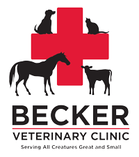dr becker veterinarian